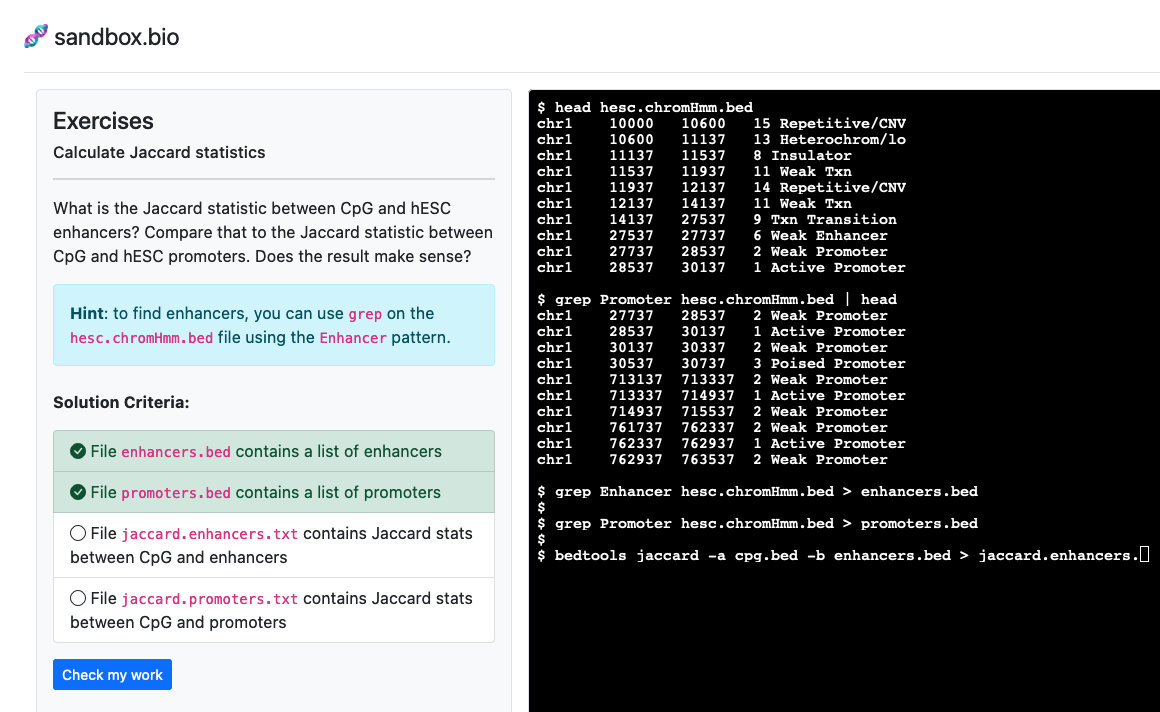 Screenshot of terminal and exercises